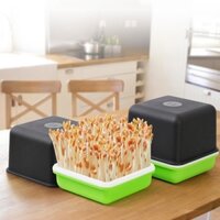 Khay trồng Rau mầm Thủy canh MAM-110, Chậu trồng Rau mầm Lạc 4 lớp