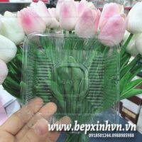 Khay Trung Thu 250g - 300g Trong (Lốc 100) - Khay Số 11 VN.