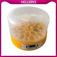 Khay Turner Máy ấp trứng Máy ấp trứng cho chim cút Gà ngỗng