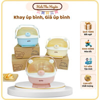 Khay úp bình, Giá úp bình GẤU 🐻