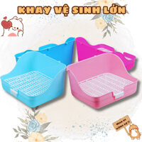 Khay vệ sinh cỡ lớn cho Bọ Ú (Chuột lang) Thỏ Cảnh, Hamster khay vệ sinh cao cấp đầy đủ màu sắc