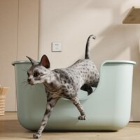 Khay Vệ Sinh Mèo, Thùng Cát Mèo Siêu To Khổng Lồ Chống Văng Cát Tặng Xẻng Xúc