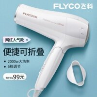 [Khen ngợi thương hiệu 92 triệu + Cái] Máy sấy tóc Feike Công suất cao Máy sấy tóc gia dụng 2000W Máy sấy tóc giữ nhiệt Máy sấy tóc có thể gập lại 6 bánh răng