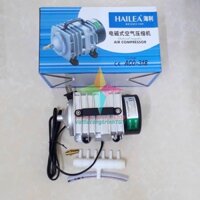 khí sủi HAILE ACO-318 35W