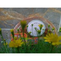 KHÔ BÒ QUẢNG NGÃI HỘP TRÒN QUÀ TẾT 270GR ÍT CAY