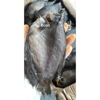 KHÔ CÁ BỔI ( CÁ SẶC RẰN)
