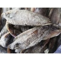 khô cá chèn bầu loại lớn (hút túi 500g/ 190.000)