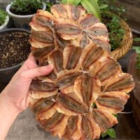 Khô cá chỉ vàng