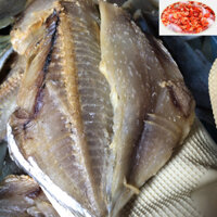 Khô cá đội đèn/ Cá sứa khô mặn dày thịt