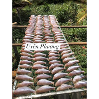 Khô cá đổng 1 nắng , vị lạt vừa ăn , 500g(5-6 con)