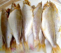 Khô cá đổng  Cá đổng là cá gì Thơm Ngon Thịt Dày Ngọt Giàu Chất Dinh Dưỡng- Loại Hảo Hạng Chọn Lọc 10 Con Như Nhau Cả 10 - Chất Lượng Số 1- Hàng Tuyển Chọn Kỹ Lưỡng -500Gram