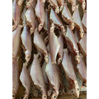 Khô cá đổng đù 1 nắng 1kg