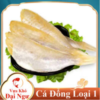 KHÔ CÁ ĐỔNG ÍT XƯƠNG, THỊT BÉO -Vựa Khô Đại Ngư