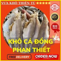 Khô cá đổng Phan Thiết ngon hấp dẫn hải sản khô nổi tiếng , cá dày thịt vị béo thơm ngậy đặc sản biển Thiên Tú Store