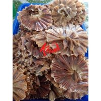 KHÔ CÁ ĐUỐI NON-500gr