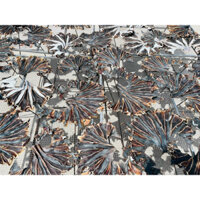 Khô cá đuối ó ( cá đuối đen)