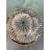 Khô cá lìm kìm Thái Thủy - 500gr đạt chuẩn OCOP 3*, cá biển thiên nhiên, không chất bảo quản