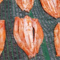 Khô Cá Lóc nhà làm đặc sản Trà Vinh 1 kg 170.000  đảm bảo chất lượng