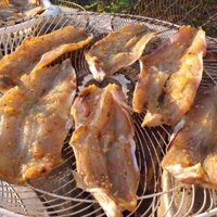 Khô cá mối