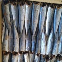 khô cá nục bao ngon rẻ - 500g khô cá nục bao ngon rẻ ../