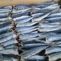 Khô cá nục béo ngon ú ụ, không tẩm ướp gia vị ngon tuyệt - MikiFoods