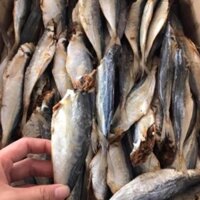 Khô cá nục loại ngon. Thịt cá bao ngon. Cá săn chắc, thịt dai và thơm. Đảm bảo vệ sinh an toàn thực phẩm - MikiFoods