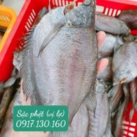 khô cá sặc rằn