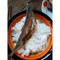 Khô cá thu ướp vừa ăn không mặn, hàng tại ghe đánh bắt, khô mới  lên giàn mỗi ngày thịt khô rất tươi ngon