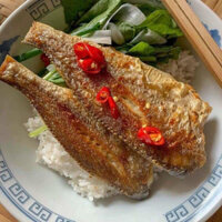 KHÔ ĐÙ 1 NẮNG-Khô Cá Đù size 18-24 con