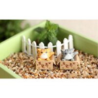 KHO-HN  Mèo con tìm chủ mới về trang trí vườn cây, tiểu cảnh miniature - Mèo màu xám