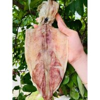 Khô mực loại 12-15 con/kg