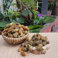 Khổ Qua Rừng sấy khô nguyên trái (Mướp đắng rừng sấy khô), đánh tan tiểu đường, gút, ổn định huyết áp, giảm cân hiệu quả