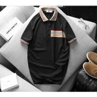 Kho sỉ áo thun nam cổ bẻ cổ sọc thun Poly (có size 3x)