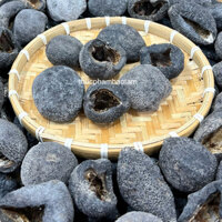 (Kho Sỉ) HẢI SÂM DỪA KHÔ SIZE LỚN