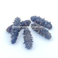 (Kho Sỉ) HẢI SÂM GAI NHẬT KHÔ - hàng loại 1