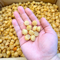 (Kho Sỉ) SÒ ĐIỆP NHẬT KHÔ SIZE NHÍ (1000 – 1100 HẠT /1KG) - hàng loại 1