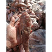 Khô thịt cá mao ếch đặc sản Ba Tri Bến Tre hàng tại vựa ghe thịt rất tươi và ngọt