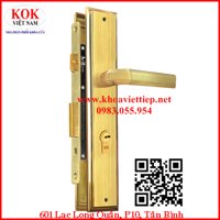 Khóa cao cấp Việt Tiệp 04185