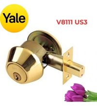 Khóa Cóc Một Đầu Chìa Một Đầu Vặn Yale V8111 US3 Màu Đồng Bóng