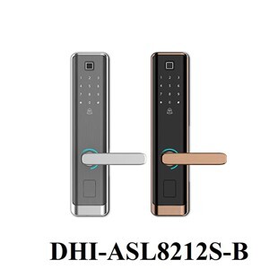Khóa cửa điện tử Dahua DHI-ASL8212R-B
