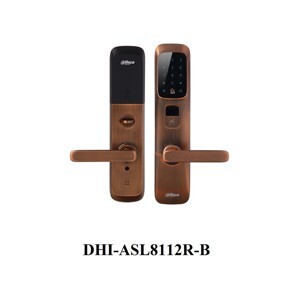 Khóa cửa điện tử Dahua DHI-ASL8112R/S/K