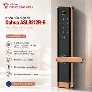 Khóa cửa điện tử Dahua DHI-ASL8212R-B