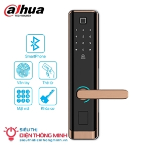 Khóa cửa điện tử Dahua DHI-ASL8212R-B