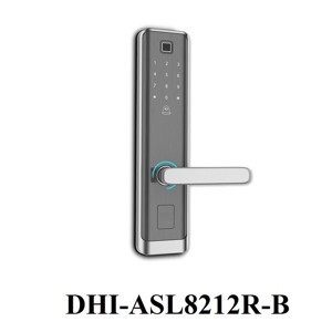 Khóa cửa điện tử Dahua DHI-ASL8212R-B