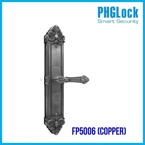 Khóa cửa điện tử PHGLock FP5006