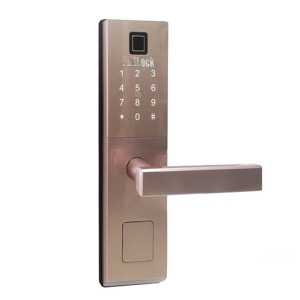 Khóa cửa điện tử PHGLock FP6021