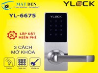 Khóa cửa điện tử thông minh YGS-6675CM