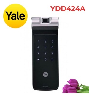 Khóa cửa điện tử Yale YDD424A