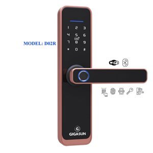 Khóa cửa điều khiển từ xa Gigasun D02R