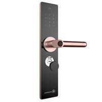 Khóa cửa, khóa từ thông minh Appota Lock AN1 chống trộm, bảo mật tuyệt đối màu Hồng